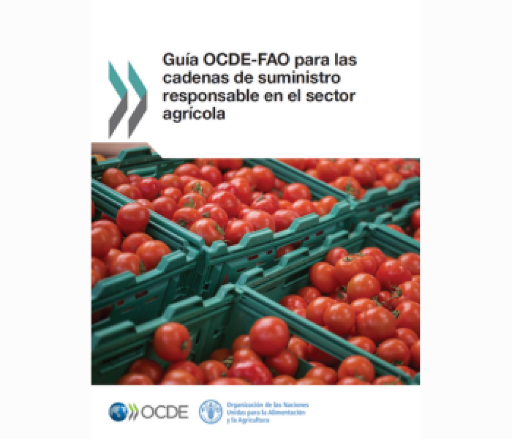 Guía OCDE-FAO para las cadenas de suministro responsable en el sector agrícola