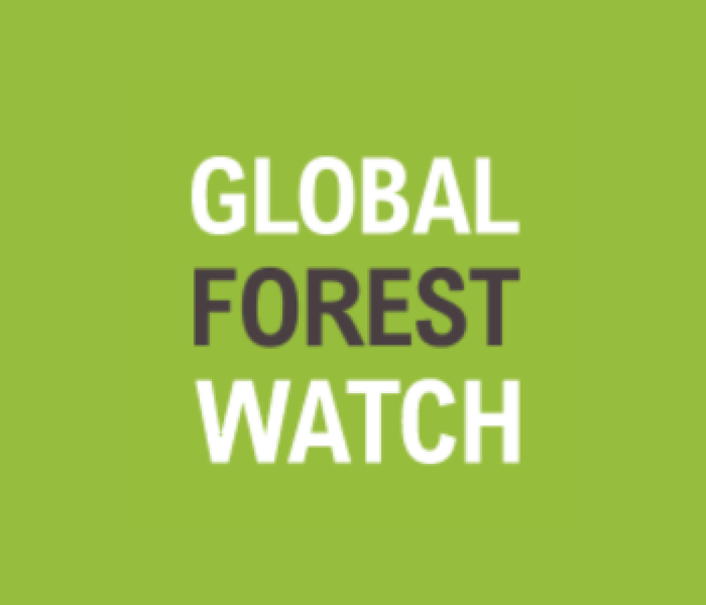 Global Forest Wash