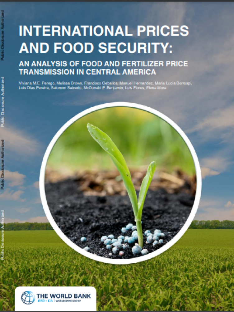 International prices and food security: An analysis of food and fertilizer price transmission in Central America