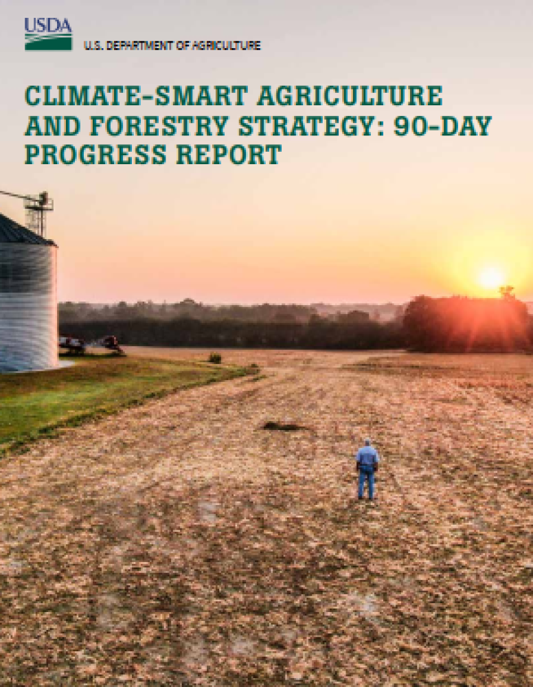 Estrategia de agricultura y silvicultura climáticamente inteligentes: informe de progreso de 90 días