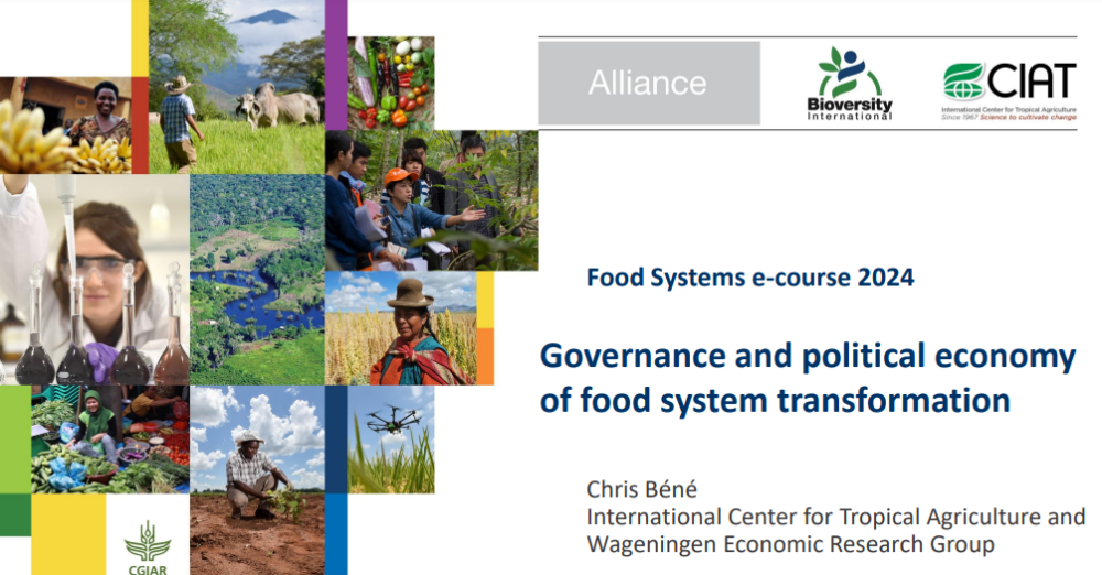 Gobernanza y economía política de la transformación del sistema alimentario