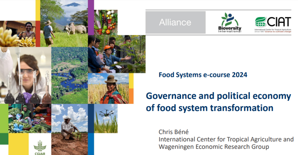 Governance and political economy of food system transformation