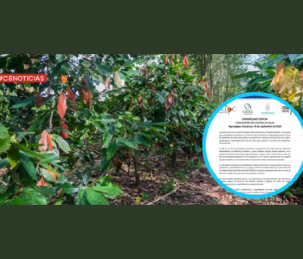 CELAC requests the European Union to postpone regulation on deforestation