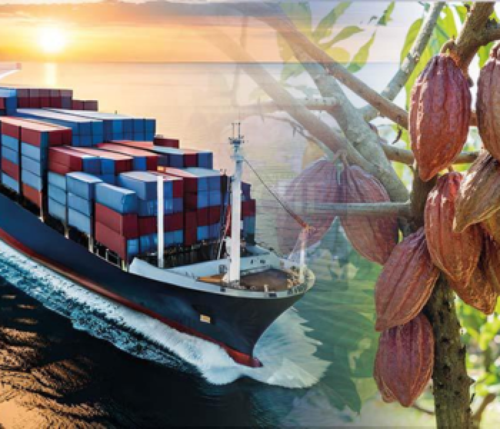 Produlce charges Brussels for delays in clarifying deforestation regulation