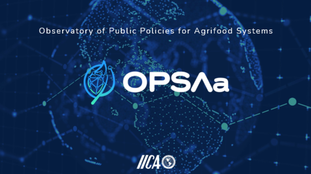 Observatorio de Políticas Públicas para los Sistemas Agroalimentarios