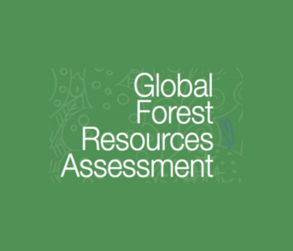 Evaluación de los Recursos Forestales Mundiales