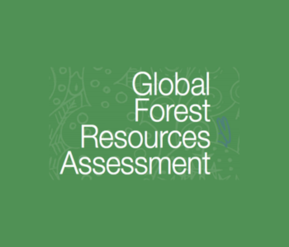 Global Forest Resources Assessment