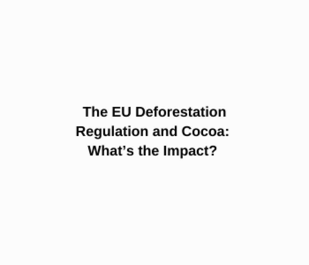 El Reglamento de la UE sobre la deforestación y el cacao: ¿cuál es el impacto?