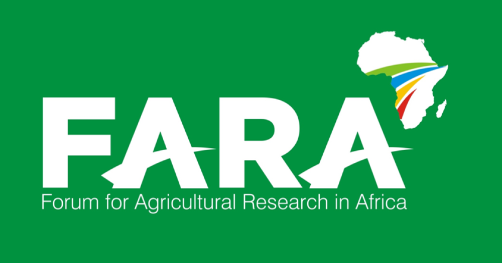 El papel de la Africa Foresight Academy en la promoción de la innovación en los sistemas agroalimentarios africanos