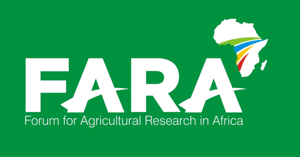 The Role of Africa Foresight Academy in promoting innovation in African agrifood systems