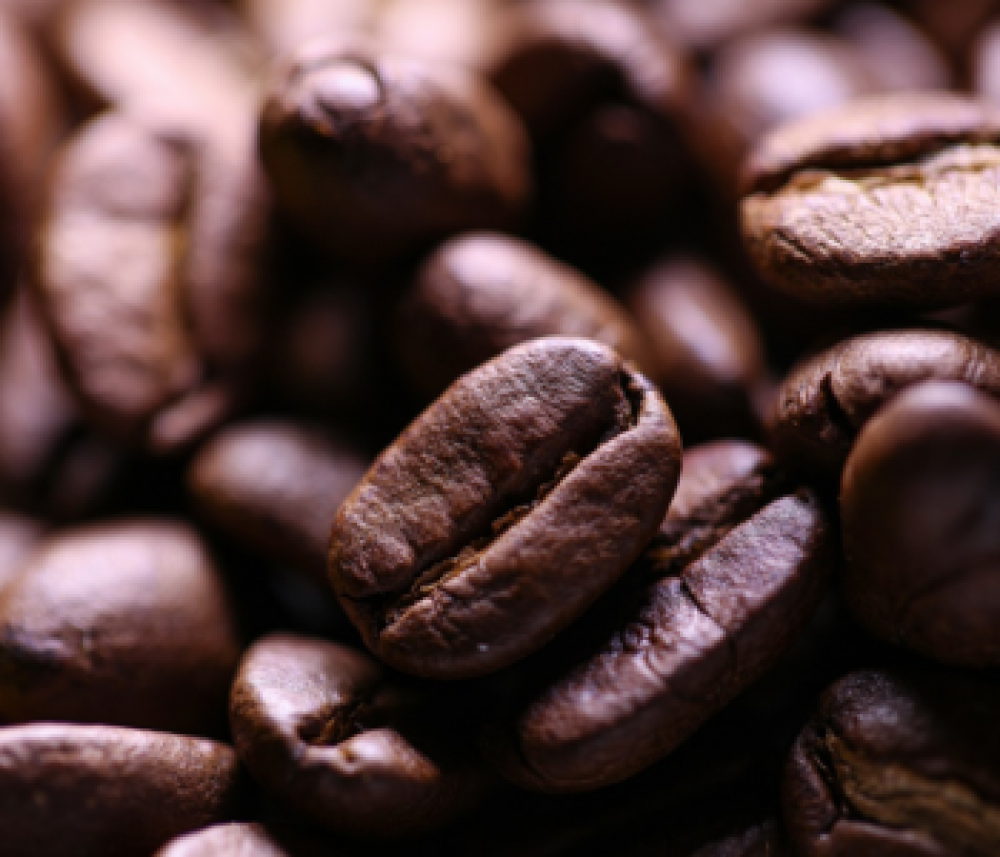 Primer envío de café libre de deforestación desde Brasil a Europa