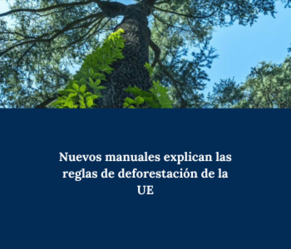 Nuevos manuales explican las reglas de deforestación de la UE