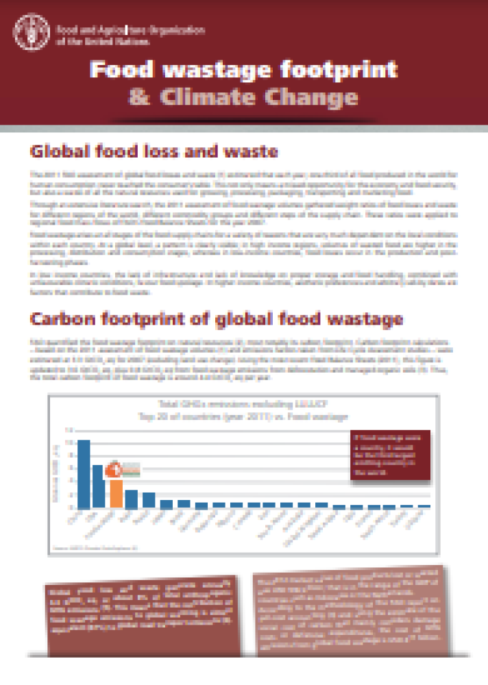 La huella del desperdicio de alimentos y el cambio climático