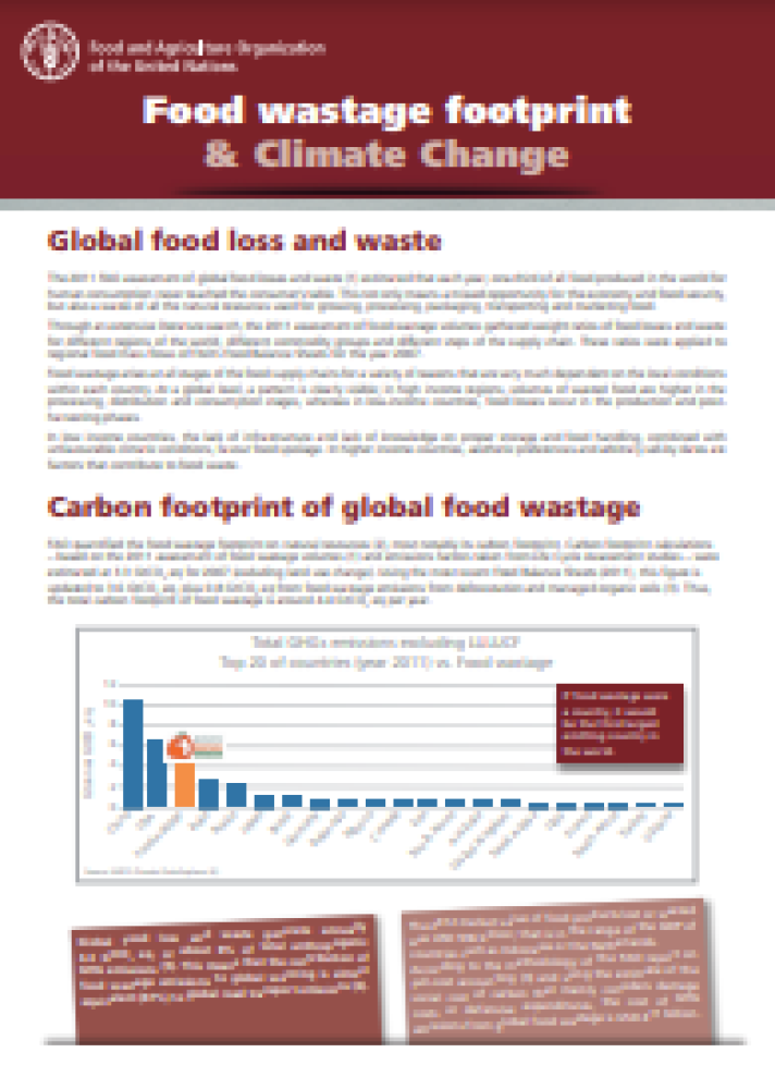 The footprint of food waste and climate change