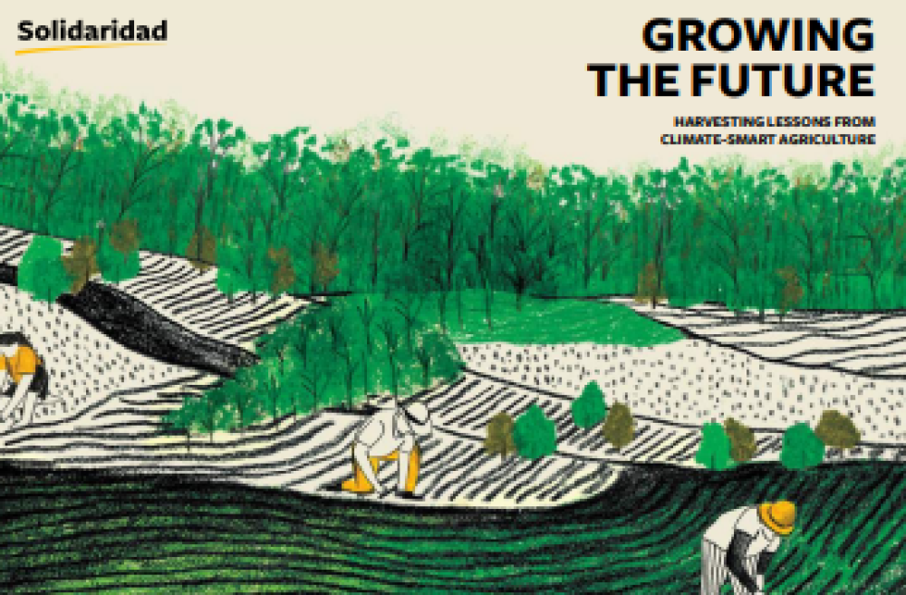 Growing the future by harnessing the lessons of climate-smart agriculture