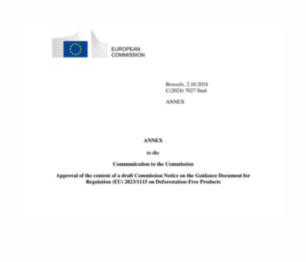 Documento de orientación para el Reglamento (UE) 2023/1115 sobre productos libres de deforestación