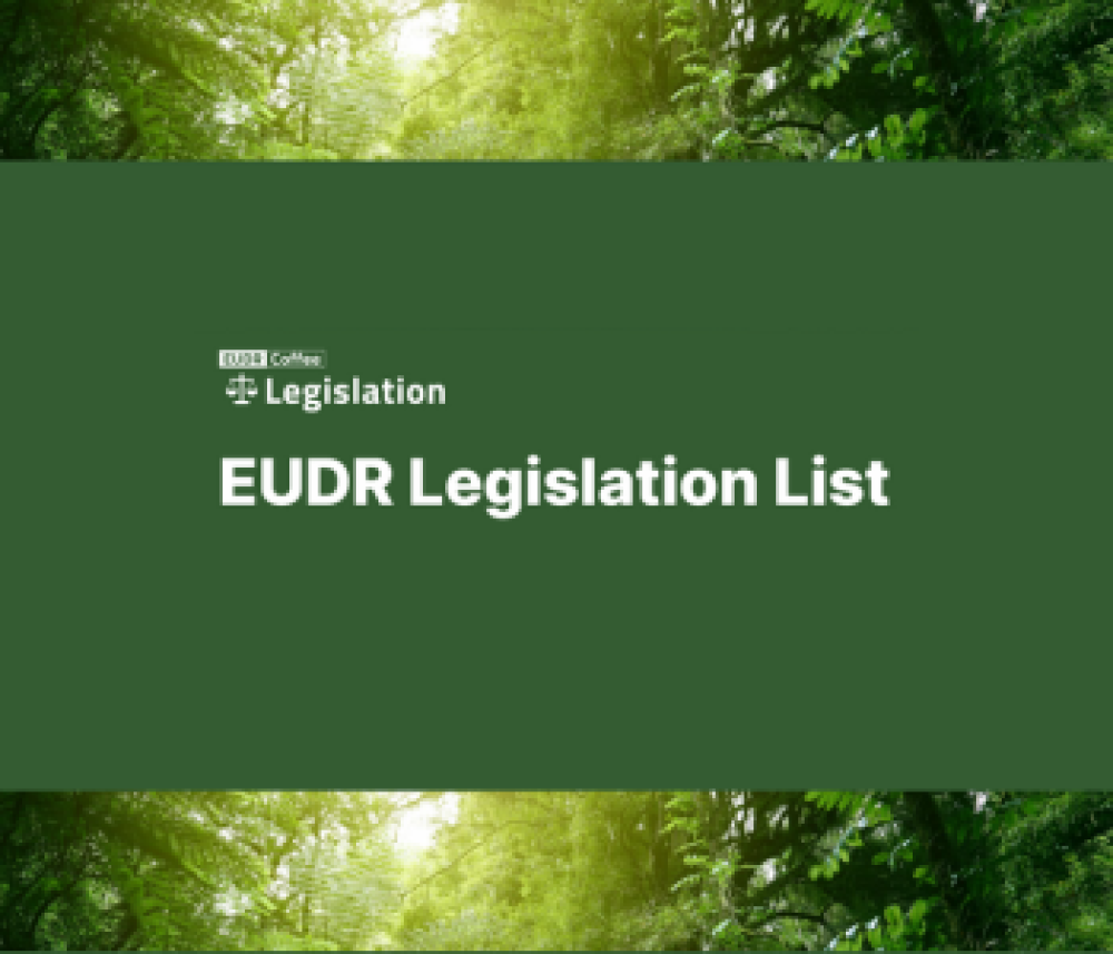 Legislación EUDR sobre el café