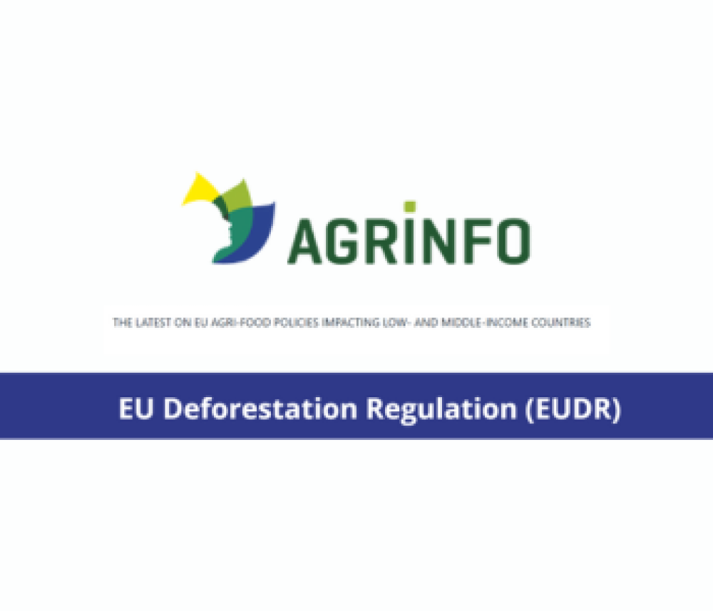 Reglamento de la UE sobre deforestación