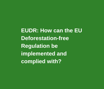 EUDR: ¿Cómo puede aplicarse y cumplirse el Reglamento de la UE contra la deforestación?