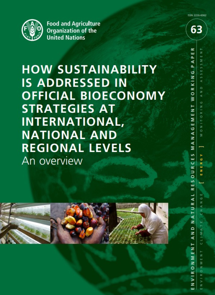 Una Visión General de Cómo se Aborda la Sostenibilidad en las Estrategias Oficiales de Bioeconomía a Nivel Internacional, Nacional y Regional