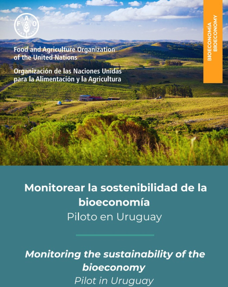 Monitorear la sostenibilidad de la bioeconomía - Piloto en Uruguay