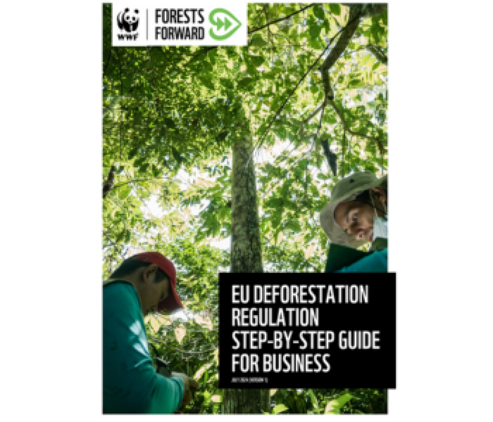 EU Deforestation Regulation Step-by-Step Guide for Business