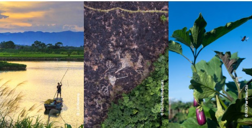 FAO launched the Support Initiative for Agri-NBSAPs.