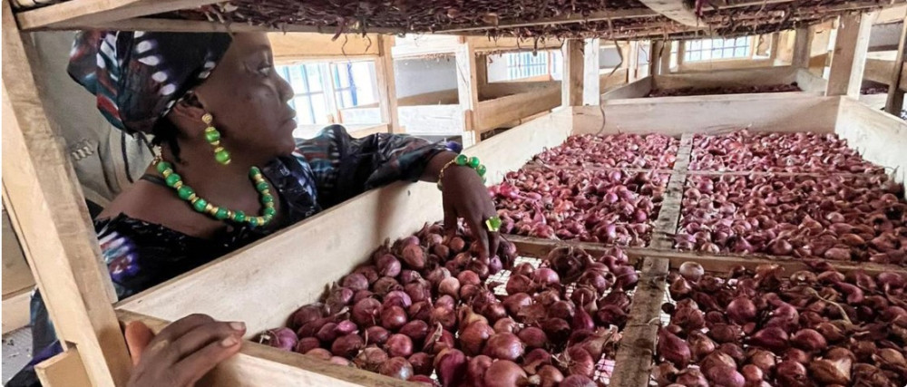 Intelligence for sustainable agri-food systems (SASI)