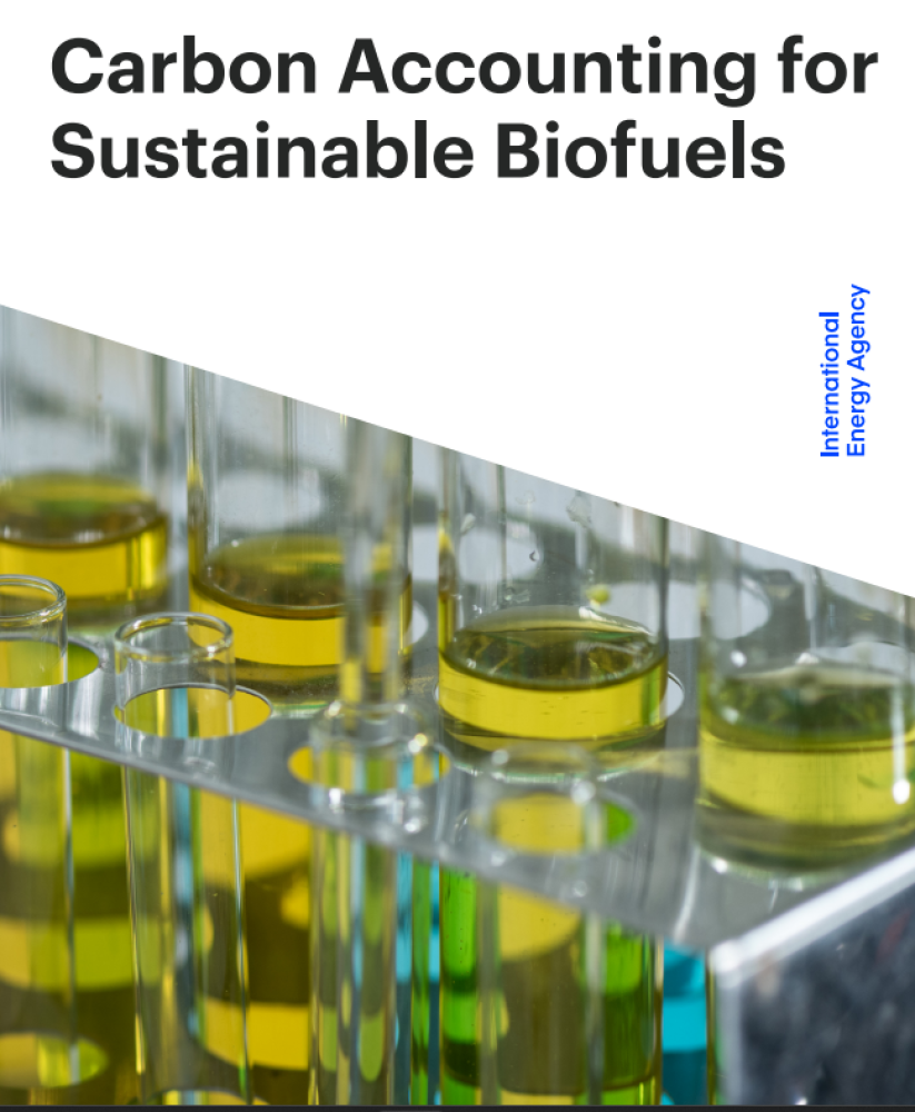 [ENG] Contabilidad del carbono para biocombustibles sostenibles