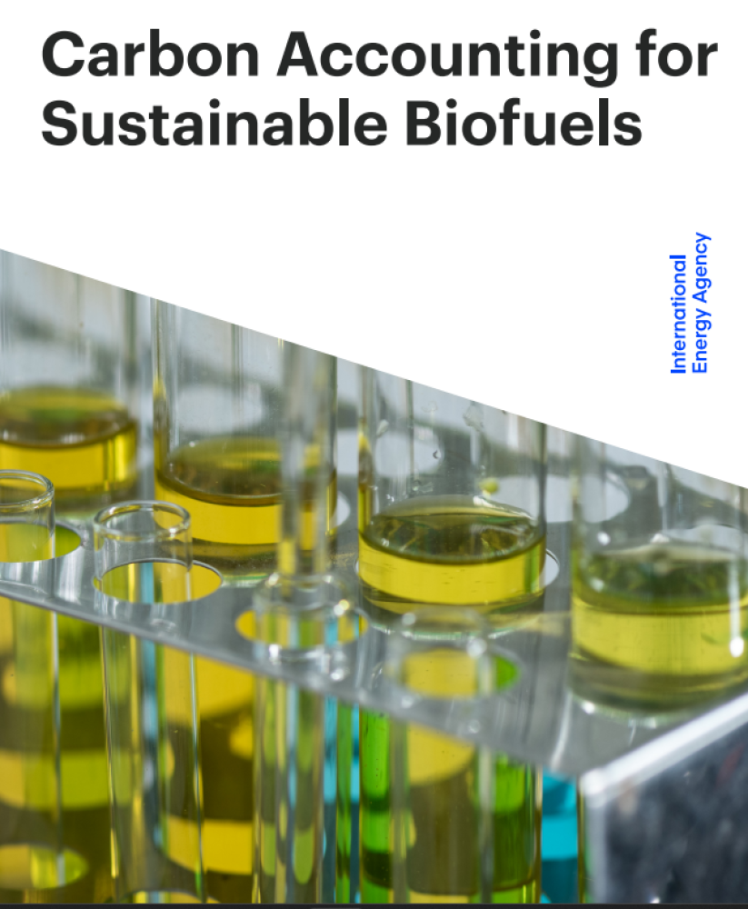 Carbon Accounting for Sustainable Biofuels