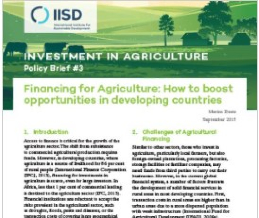 Financing for Agriculture: How to Boost Opportunities in Developing Countries