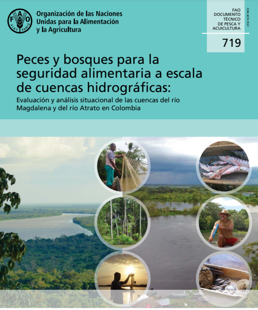 Peces y bosques para la seguridad alimentaria a escala de cuencas hidrográficas: Evaluación y análisis situacional de las cuencas del río Magdalena y del río Atrato en Colombia