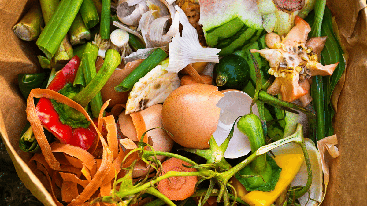 Technical Platform on the Measurement and Reduction of Food Loss and Waste