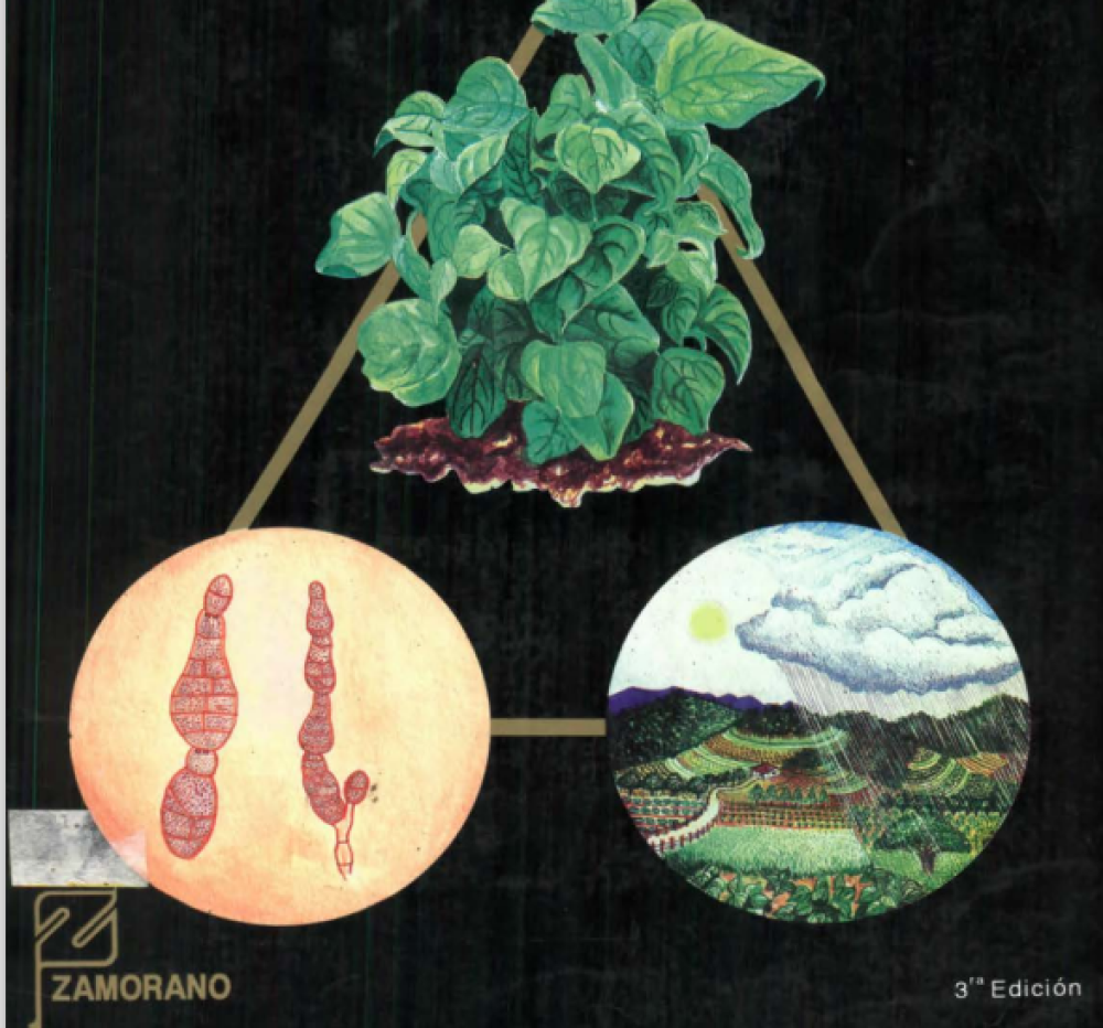 Guía para el diagnóstico y control de enfermedades en cultivos de importancia económica
