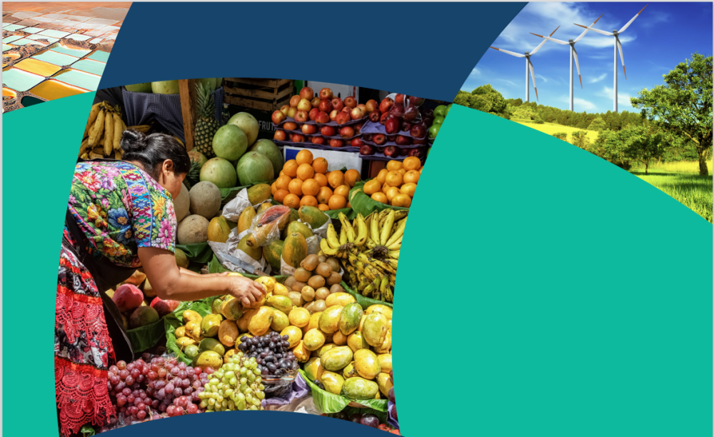 Panorama de los Recursos Naturales en América Latina y el Caribe, 2023