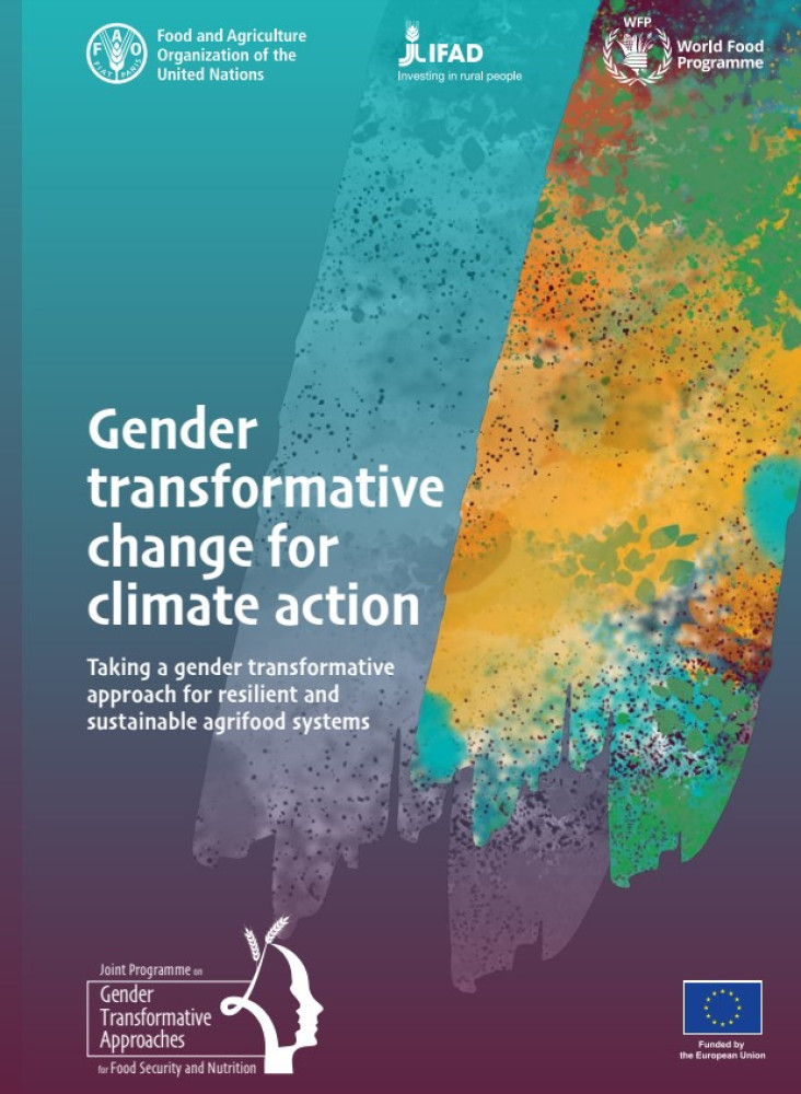 Gender transformative change for climate action: Taking a gender transformative approach for resilient and sustainable agrifood systems