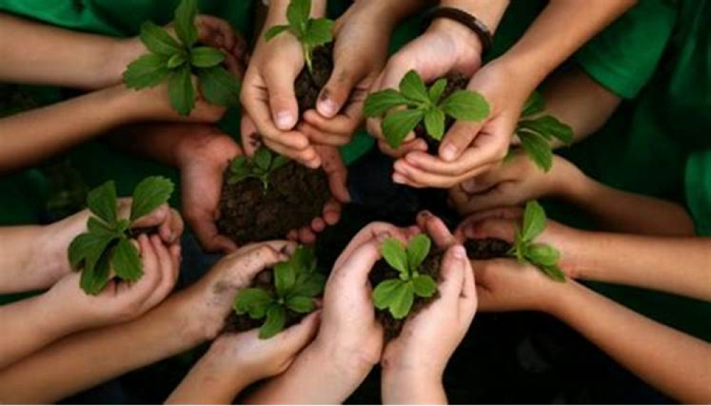 Caja de Herramientas para la Integración de la Biodiversidad en la Planificación para el Desarrollo en América Latina y el Caribe