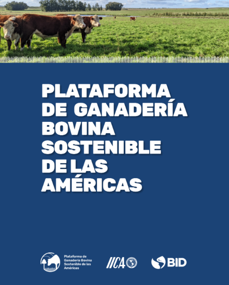 Sustainable cattle ranching platform of the Americas