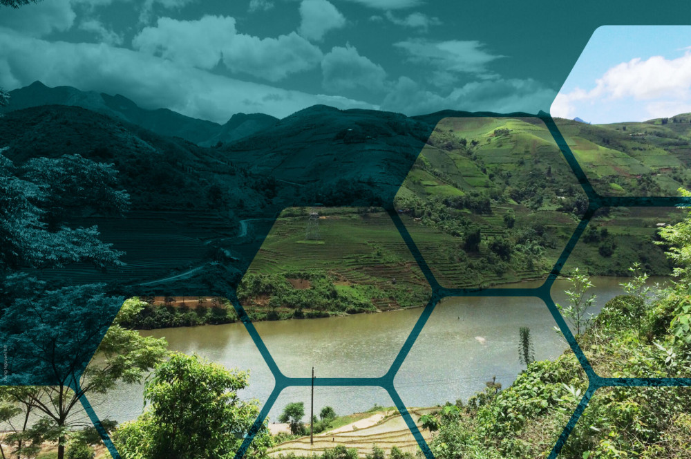 CGIAR: Grupo Consultivo para la Investigación Agrícola Internacional