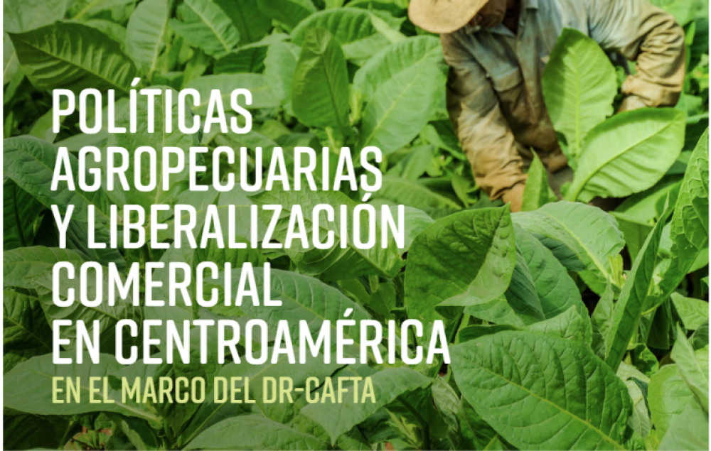 Políticas agropecuarias y liberalización comercial en Centroamérica en el marco del DR-CAFTA