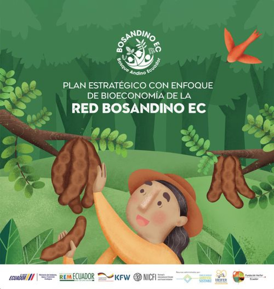 (Ecuador) Plan Estratégico con Enfoque de Bioeconomía de la RED BOSANDINO EC