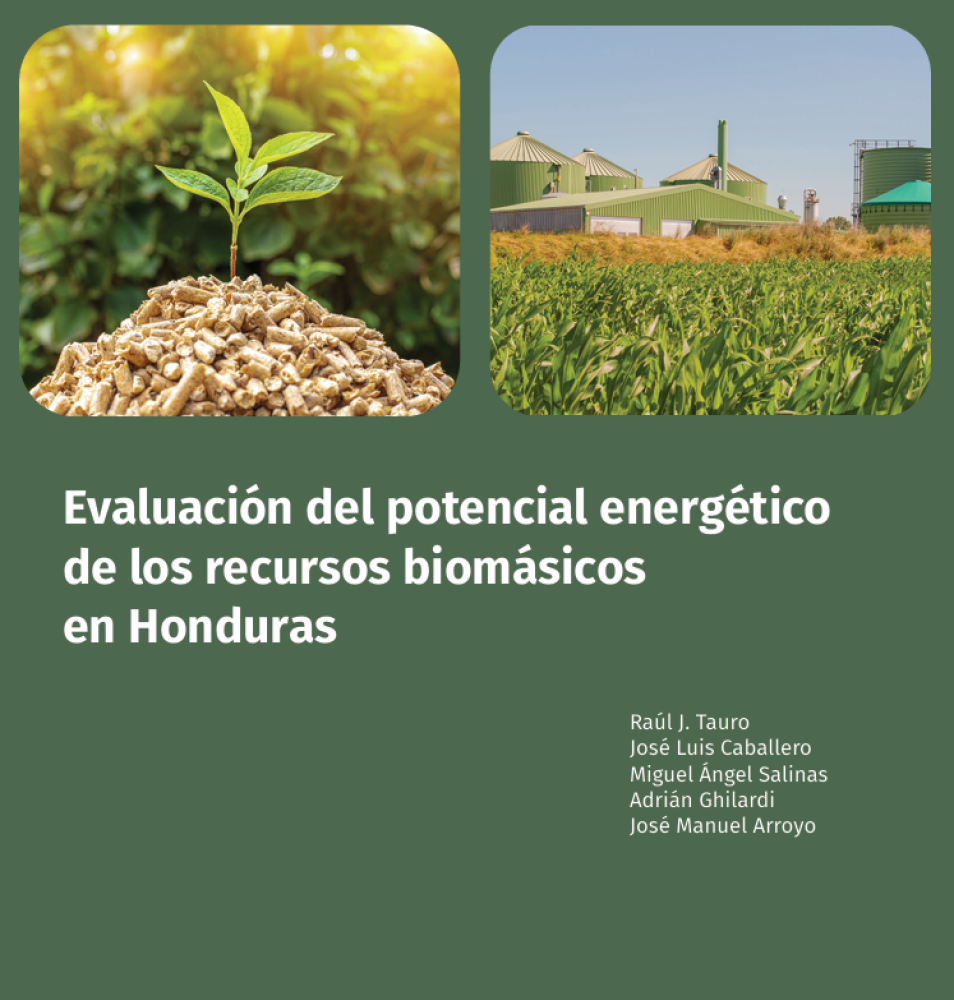 Assessment of the Energy Potential of Biomass Resources in Honduras
