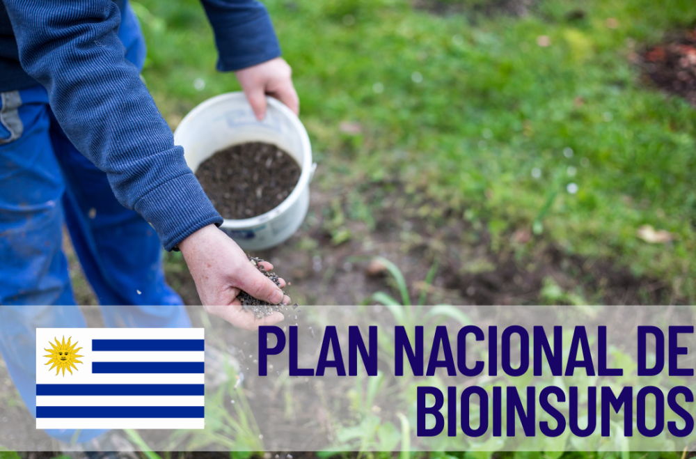 Uruguay aprobó el Plan Nacional de Bioinsumos: un paso estratégico para la sostenibilidad agropecuaria