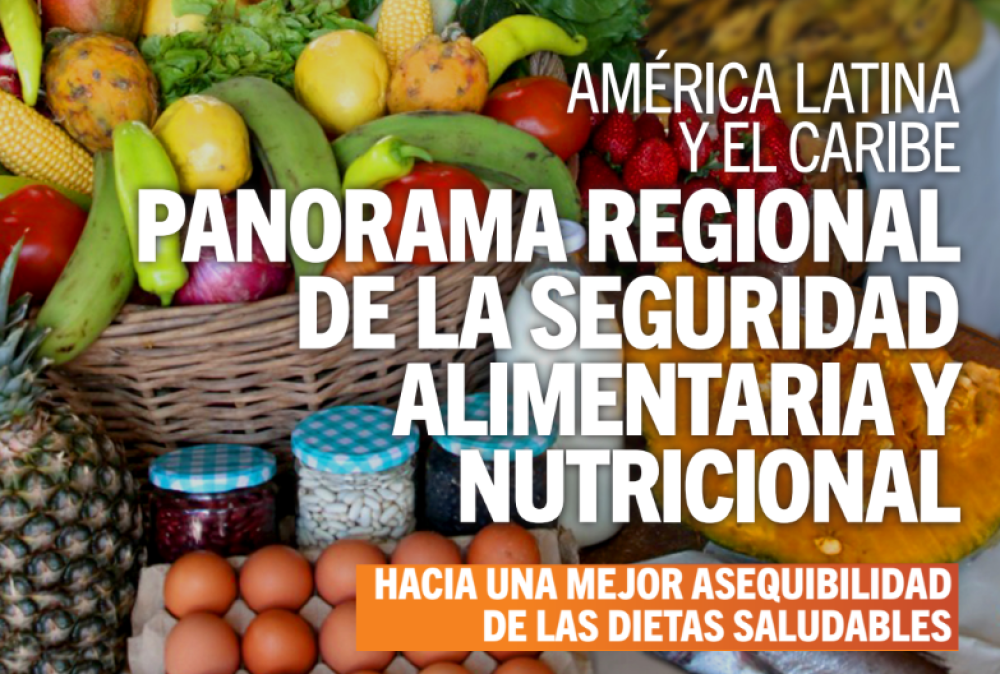 Panorama regional de la seguridad alimentaria y nutricional - América Latina y el Caribe 2022: hacia una mejor asequibilidad de las dietas saludables
