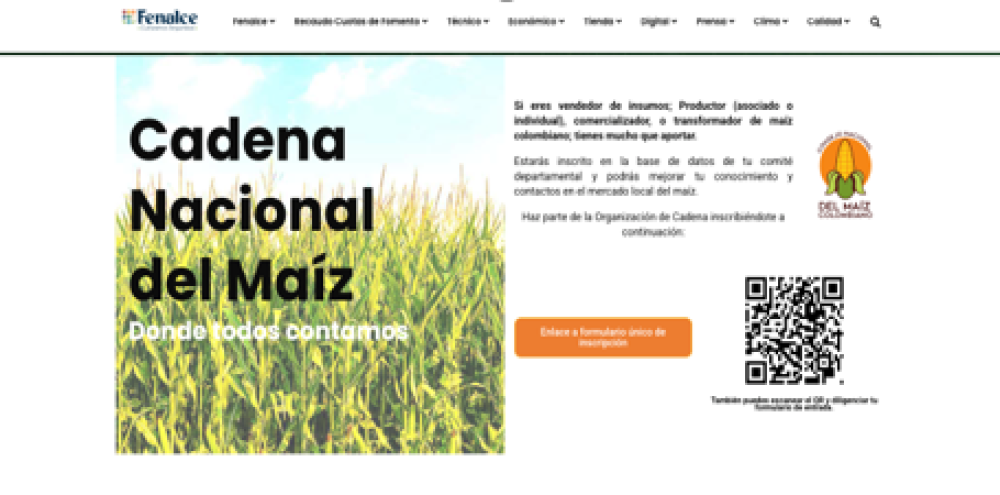 National Federation of Cereal, Legume, and Soybean Growers (FENALCE)