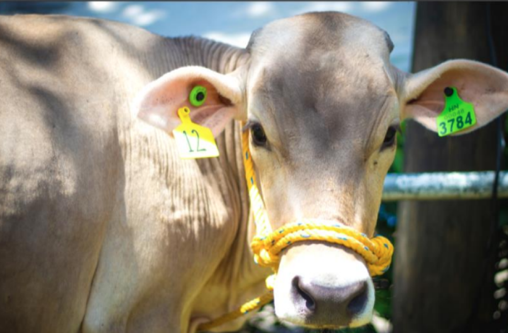 Informe anual de actividades de CAHLE del 2023