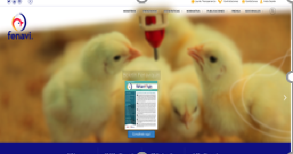 National Federation of Poultry Farmers of Colombia (FENAVI)