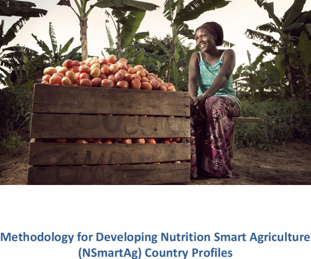Metodología para el Desarrollo de Perfiles Nacionales de Agricultura Inteligente en Nutrición
