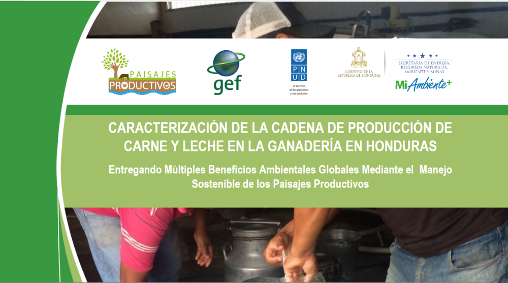 Characterization of the meat and milk production chain in livestock in Honduras