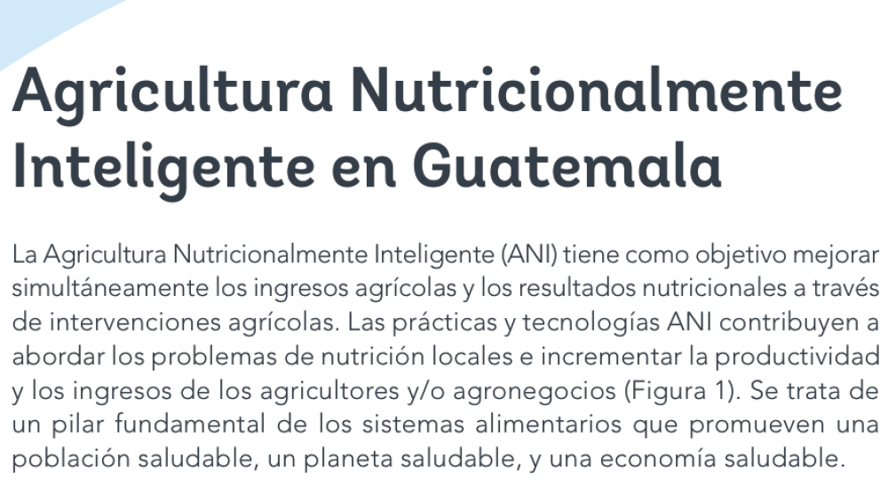 Agricultura Nutricionalmente Inteligente en Guatemala